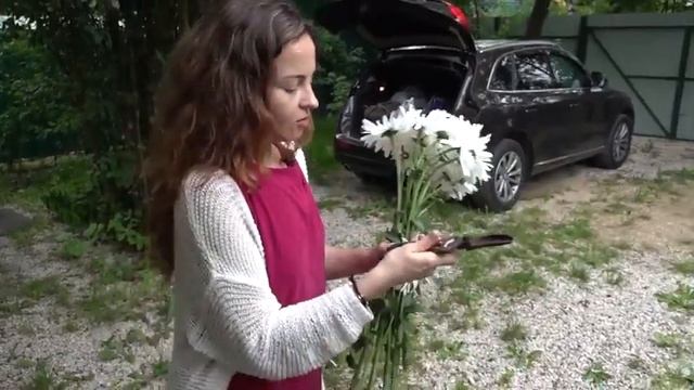 Показываю свою дачу и ромашки на даче Reality Show смотреть онлайн