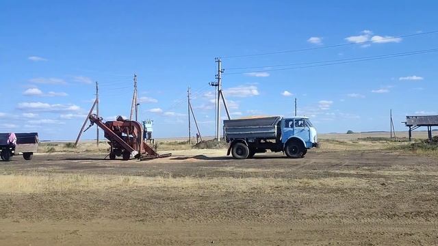 МАЗ-5549.Выгрузка пшеницы. смотреть онлайн