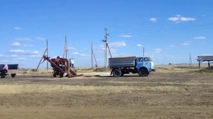 МАЗ-5549.Выгрузка пшеницы.