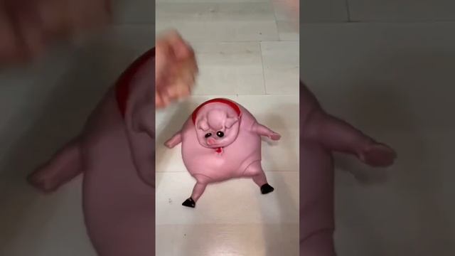 Свинья антистресс.#short #shortsvideo