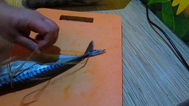 СЕКРЕТЫ ПРИГОТОВЛЕНИЯ СКУМБРИИ ГОРЯЧЕГО КОПЧЕНИЯ смотреть онлайн