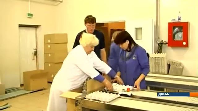 Якутская птицефабрика пополнилась яйцами английской породы смотреть онлайн