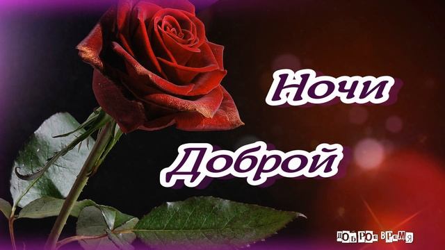 КРАСИВЫЕ ПЕСНИ ОБО ВСЁМ...О ТЕБЕ ..ДОБРОЙ НОЧИ! смотреть онлайн