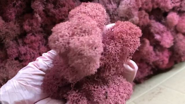 Стабилизированный мох ягель цвет 26. смотреть онлайн