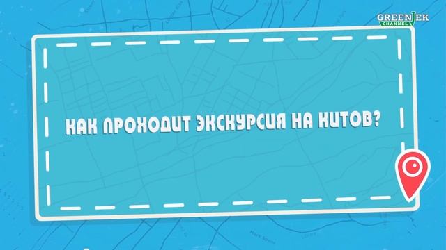 Горбатые Киты - Доминикана Экскурсии - Ехать надо? смотреть онлайн