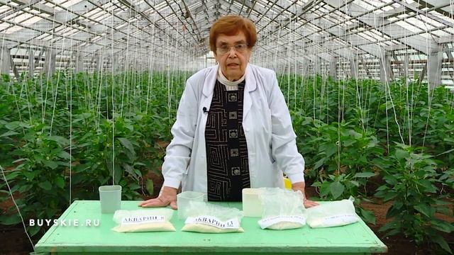 Буйские удобрения для выращивания рассады смотреть онлайн
