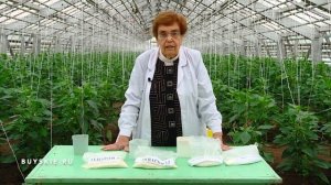 Буйские удобрения для выращивания рассады