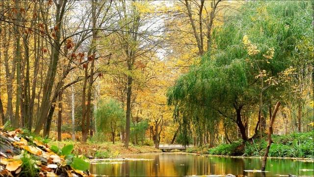 Осень прекрасная, здравствуй и прощай! смотреть онлайн