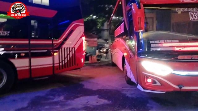 KABAR GEMBIRA BY STJ..??MATI SATU TUMBUH SERIBU...⁉️MAS AGUS MAKIN SELEKTIF.. смотреть онлайн