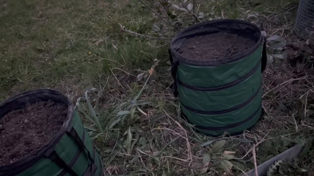 Мастерство на Практике