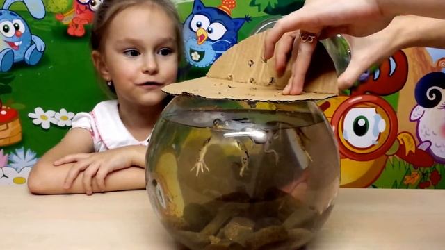 Стадии развития лягушек Познавательное видео для детей смотреть онлайн