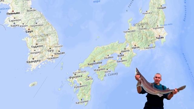 Японское море на карте смотреть онлайн