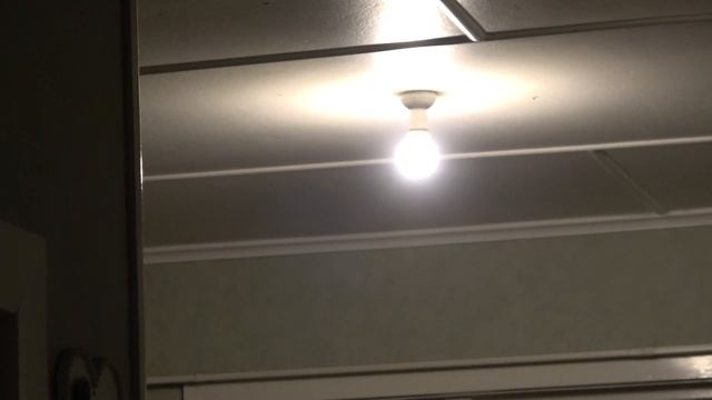2021-01-16 Compact Fluorescent Death смотреть онлайн