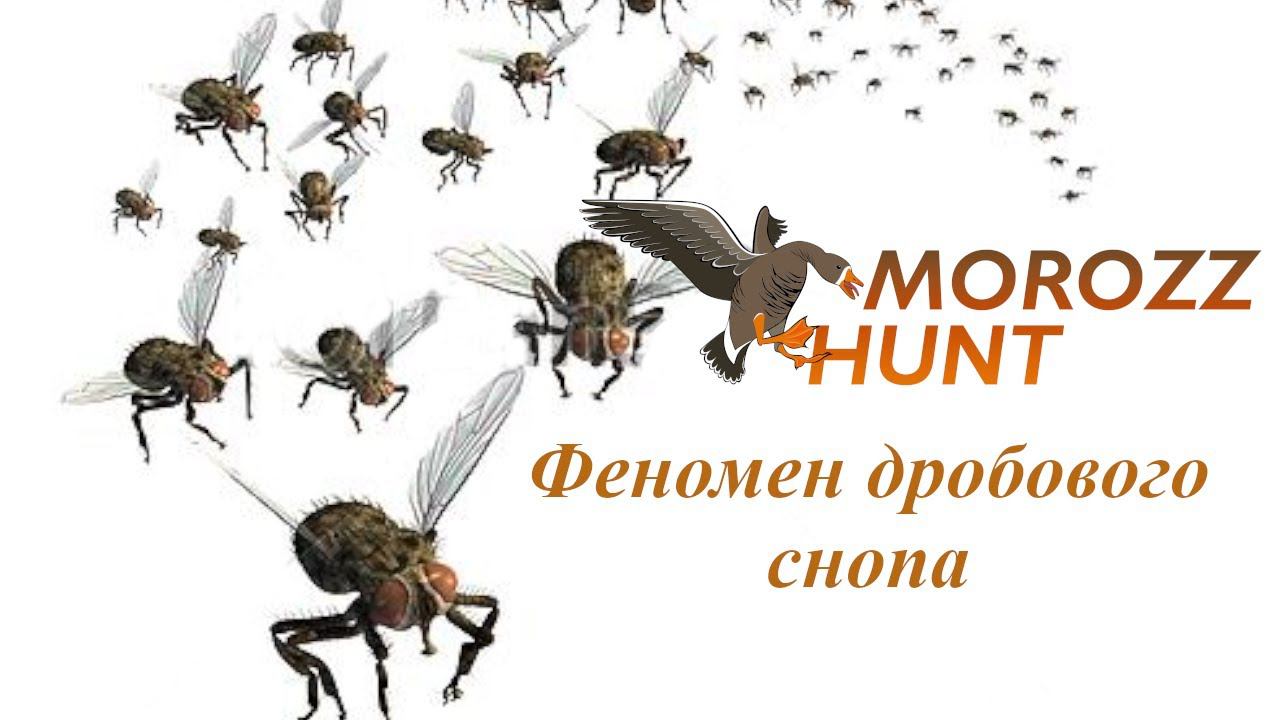 Феномен дробового снопа! Поговорим о длине этого самого снопа! смотреть онлайн