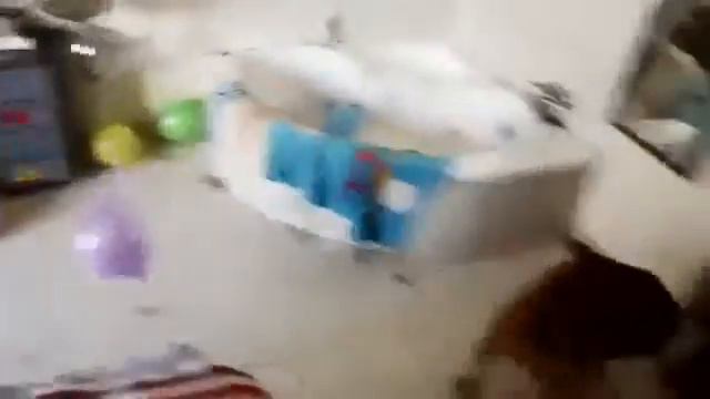 Собачий день рождения! смотреть онлайн