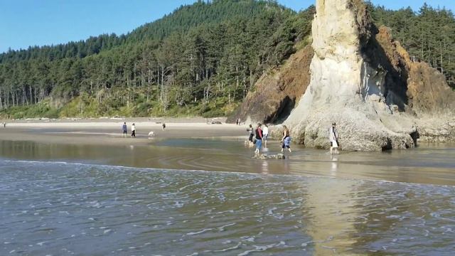 Тёплый океан в Орегоне США 11 августа 2019. смотреть онлайн