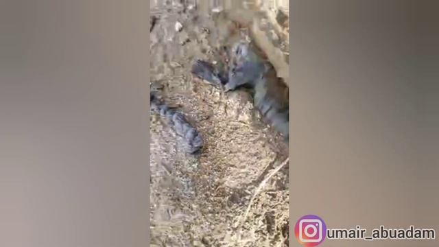 Жасырулы сиқыр табылды, маршуш, түйін смотреть онлайн