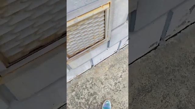 чем сейчас занимается мистик смотреть онлайн