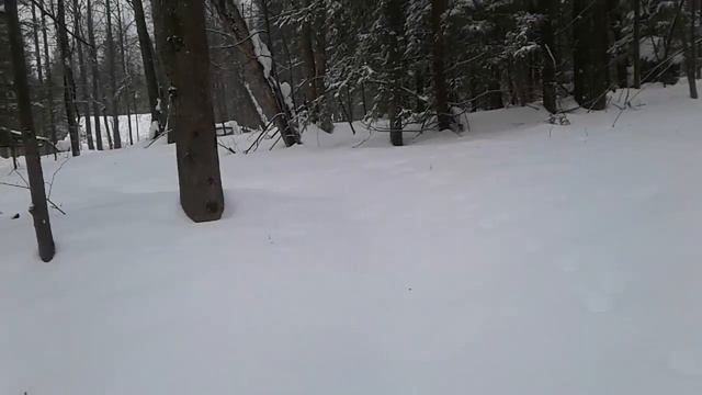 Богатый пчеловод КОГДА ПОДКАРМЛИВАТЬ ПЧЕЛ смотреть онлайн