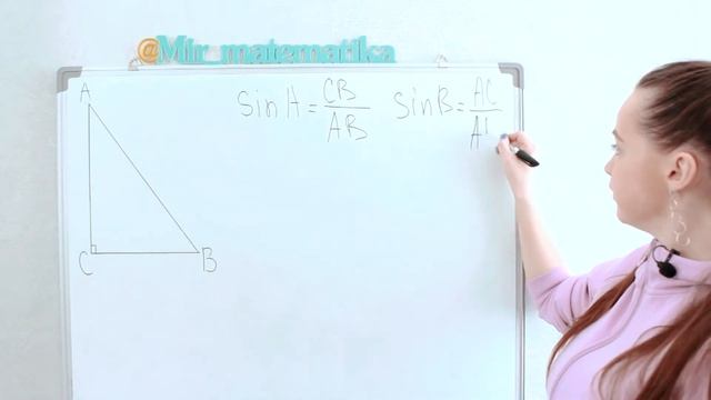 Теория по ТРИГОНОМЕТРИИ | Что такое sin, cos, tg и ctg? | Мир Математика смотреть онлайн