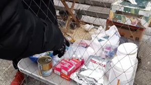 Голуби по 10 000 рублей Романа Головина "Донецкого"?. Общаемся на ярмарке в Красном Луче.