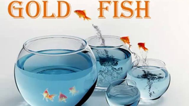 Презентация проекта GOLD FISH смотреть онлайн