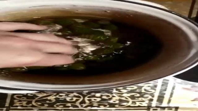 КАК СВАРИТЬ ЛЕЧЕБНОЕ ВАРЕНЬЕ из сосновых шишек/Сбор сосновых шишек/Pinecone Jam Recipe