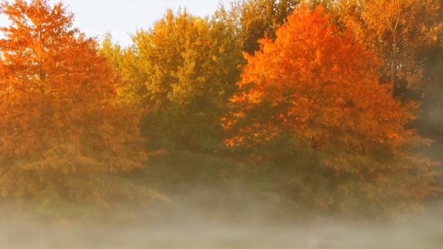 Осенние капризы смотреть онлайн