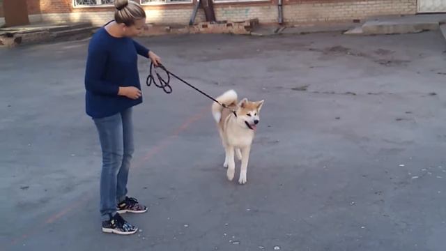 Емэй смотреть онлайн