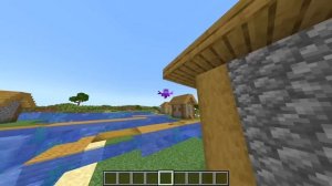 ✅ Райм Стал ПОМОЩНИКОМ ЭНДЕР ЭЛЛАЙ ( И сделал Майнкрафт реалистичным! )