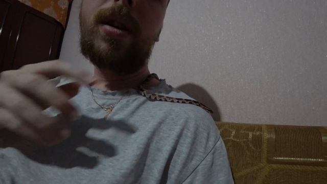 ЗМЕЯ НАПАЛА НА ЛЮДЕЙ В КВАРТИРЕ. смотреть онлайн