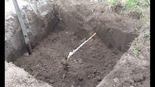 Посадка одревесневших саженцев винограда [ранней весной] смотреть онлайн