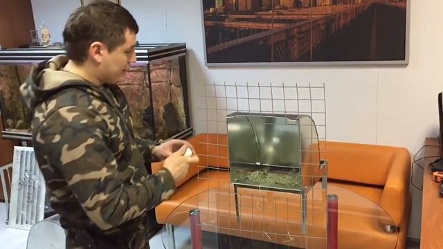 Гнездо для кур несушек металлическое видео обзор смотреть онлайн