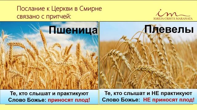 2-е письмо к Церкви в Смирне | Детям о 7 церквях Откровения смотреть онлайн