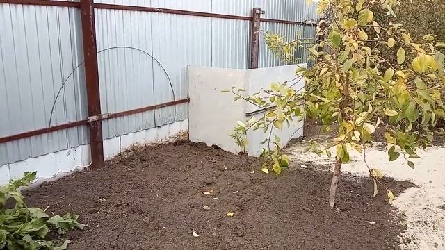 Последние краски, уходящего, необычно теплого, лета. Что осталось в огороде, после уборки. смотреть онлайн