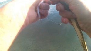 УКЛЕЙКА КЛЕВ ПОД НОГАМИ как ловить уклейку. Ловля на поплавочную удочку. Как поймать живца.