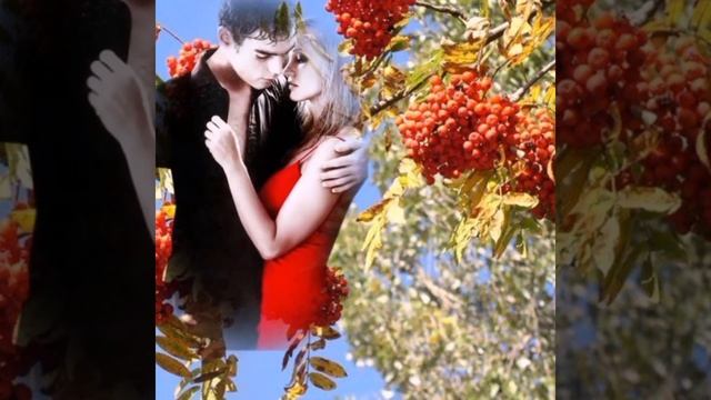 Сок Рябины. смотреть онлайн