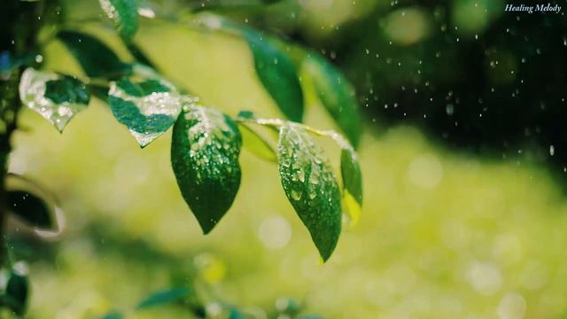 САМАЯ КРАСИВАЯ МУЗЫКА ДЛЯ ДУШИ! Одна из самых красивых и волшебных песен о любви! Красивые пейзажи