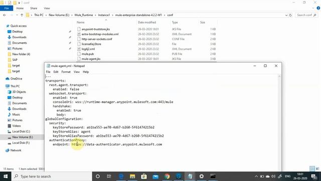 Implementing Unicast Clustering For MuleSoft Runtime Using Anypoint Platform смотреть онлайн