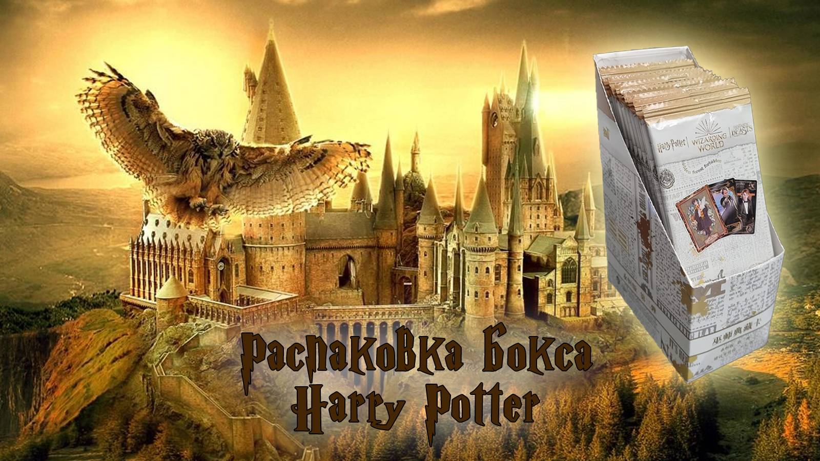 Распаковка бокса от Kayou Гарри Поттер #unpacking #манаки #harrypotter