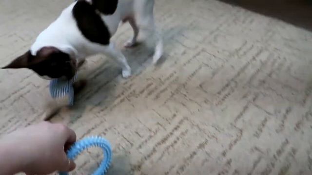 VLOG: Отмечаем 8 марта. Вкуснейшие конфеты и ЛИЧНЫЙ ПОВАР. смотреть онлайн