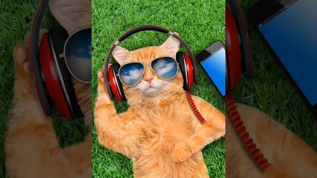 Музыка пакарила меня твая панда смотреть онлайн