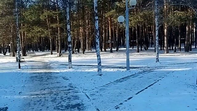 Типичный зимний город Сургут