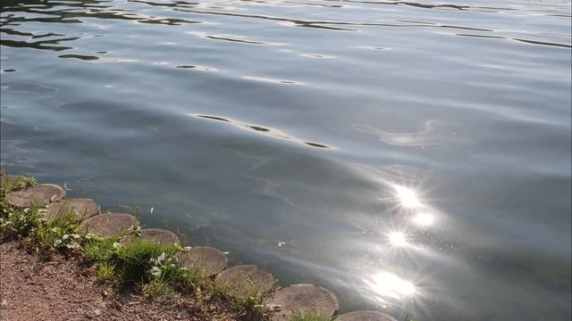 Ни в коем случае не Унывайте! Старец Захария Зосима