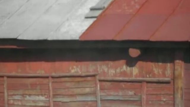 Бабушка вкрашивает тюль смотреть онлайн