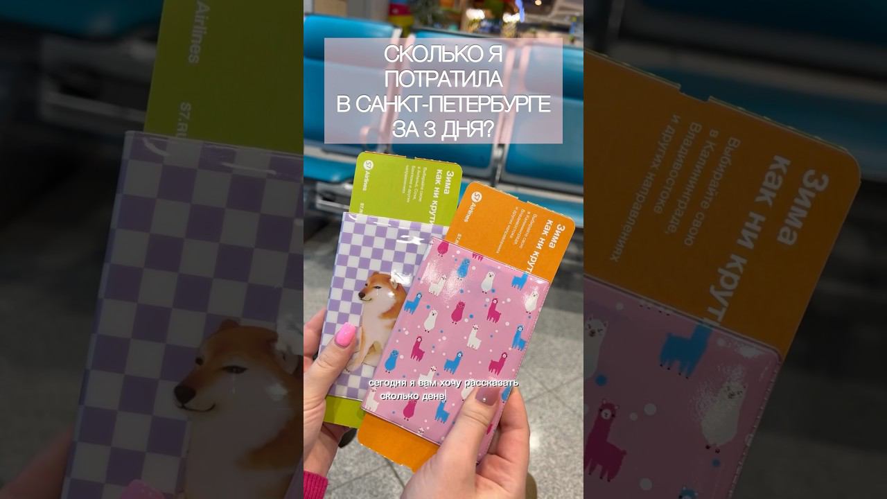 СКОЛЬКО Я ПОТРАТИЛА ЗА 3 ДНЯ В ПИТЕРЕ? #траты #деньсомной #питер #wildberries #деньги #вб #влог смотреть онлайн