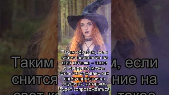 Сон дня: К чему снится Родить котенка? смотреть онлайн