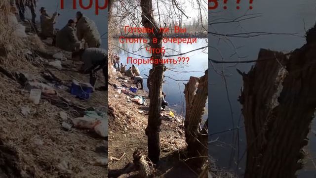 #shorts Зимняя Рыбалка на Рождество в Соловьинке. такого вы еще не видели...очереди. нет мест. клёв смотреть онлайн