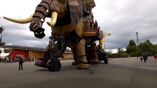 Дню рождения ЕЛОВОГО СЛОНА посвящается ) смотреть онлайн