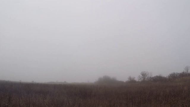 Охота на Кубани! Заяц в бронежилете! смотреть онлайн